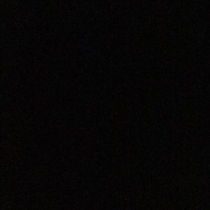 Meet your Posher, Sienna